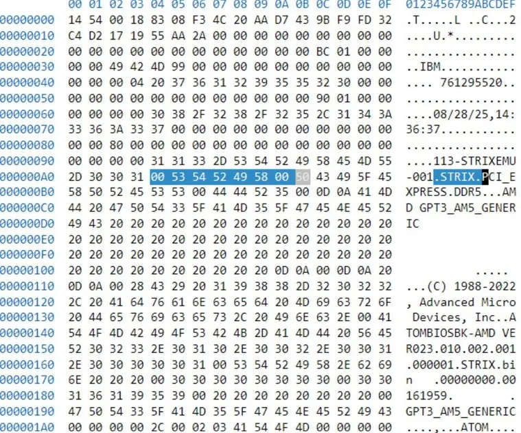 AMD Ryzen Strix Point AGESA